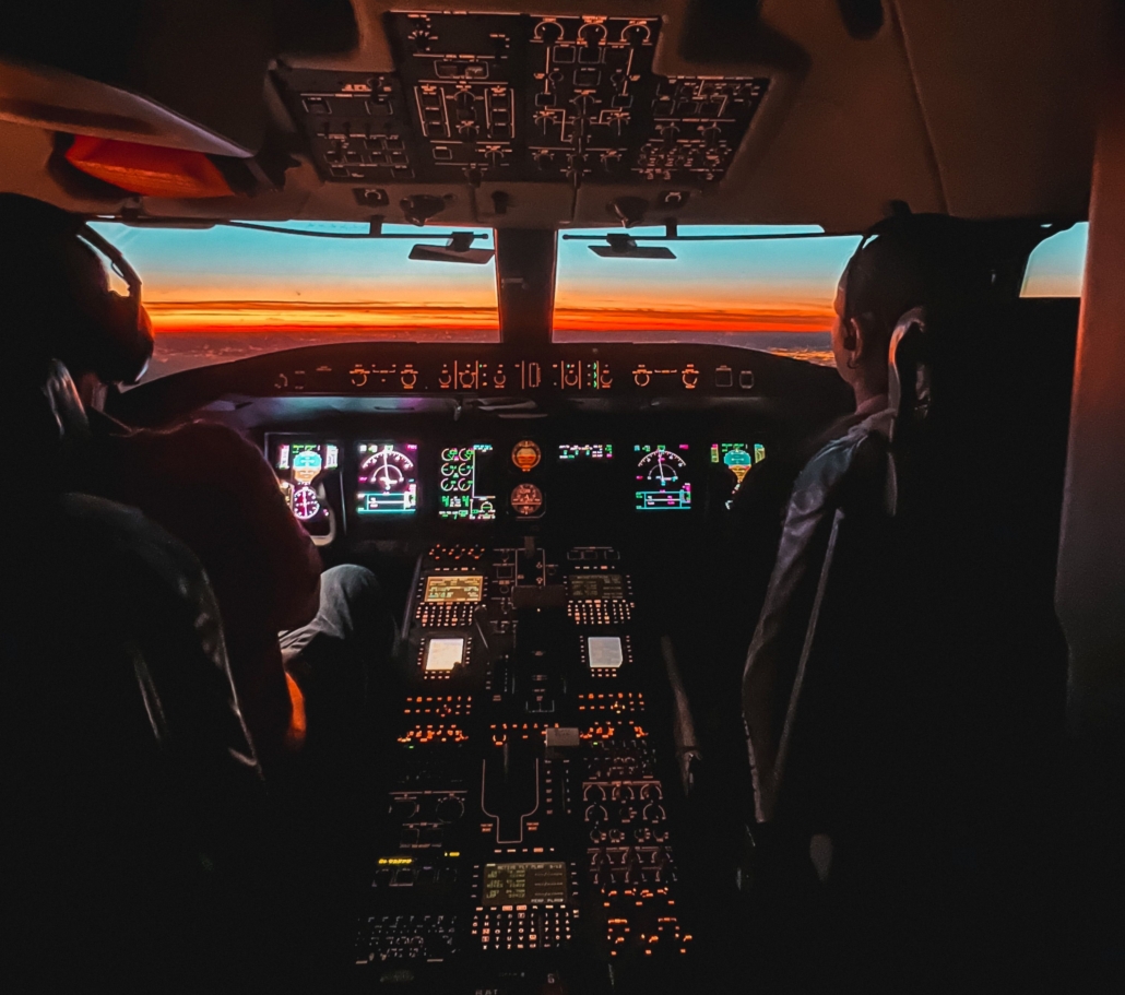 professional pilot
