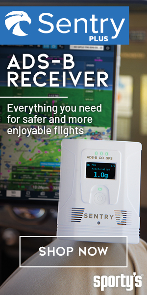 sentry